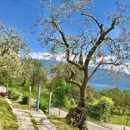 Caselli Vigole Al Sole Апарт-готель