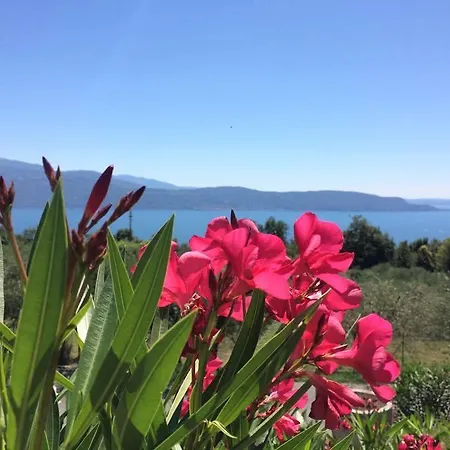 Aparthotel Caselli Vigole Al Sole Toscolano Maderno
